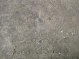 image of grave number 365996